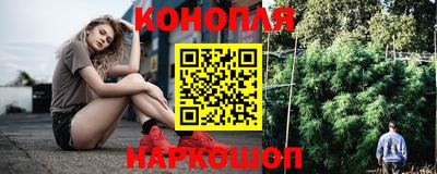 скорость Кингисепп