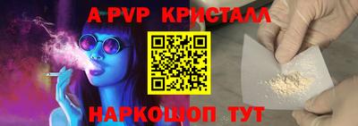 скорость Кингисепп