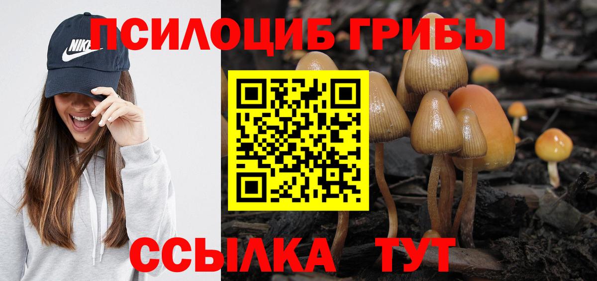 Псилоцибиновые грибы Psilocybe Геленджик